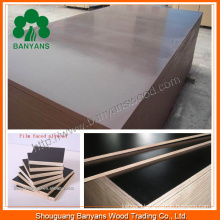 Film Faced Plywood for Africa Market